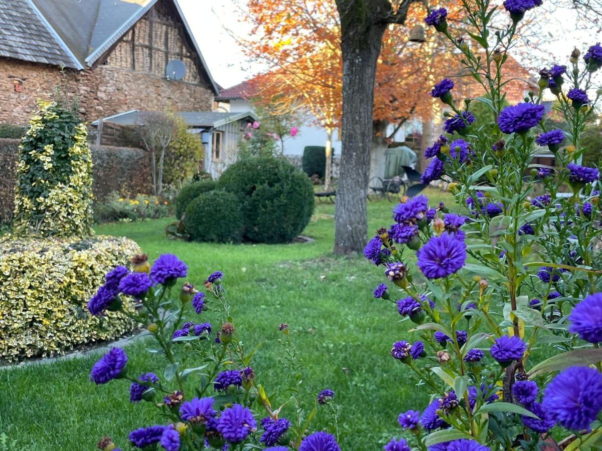 Haus-Hoeppches Blankenheim  Exteriör bild